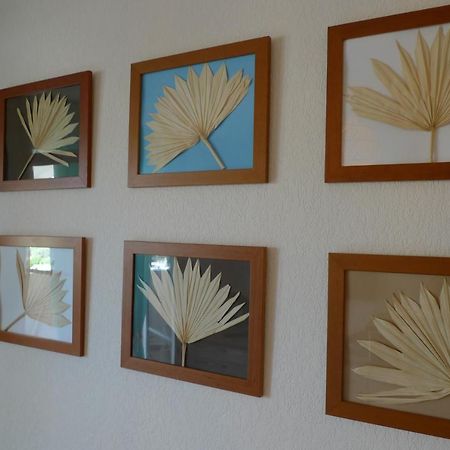 Nidu Accogliente In Balagna Apartment LʼÎle-Rousse Екстериор снимка