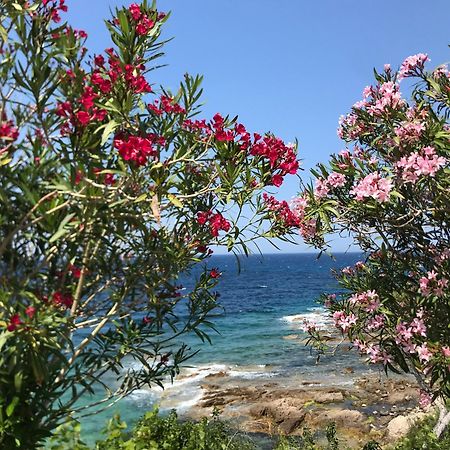 Nidu Accogliente In Balagna Apartment LʼÎle-Rousse Екстериор снимка