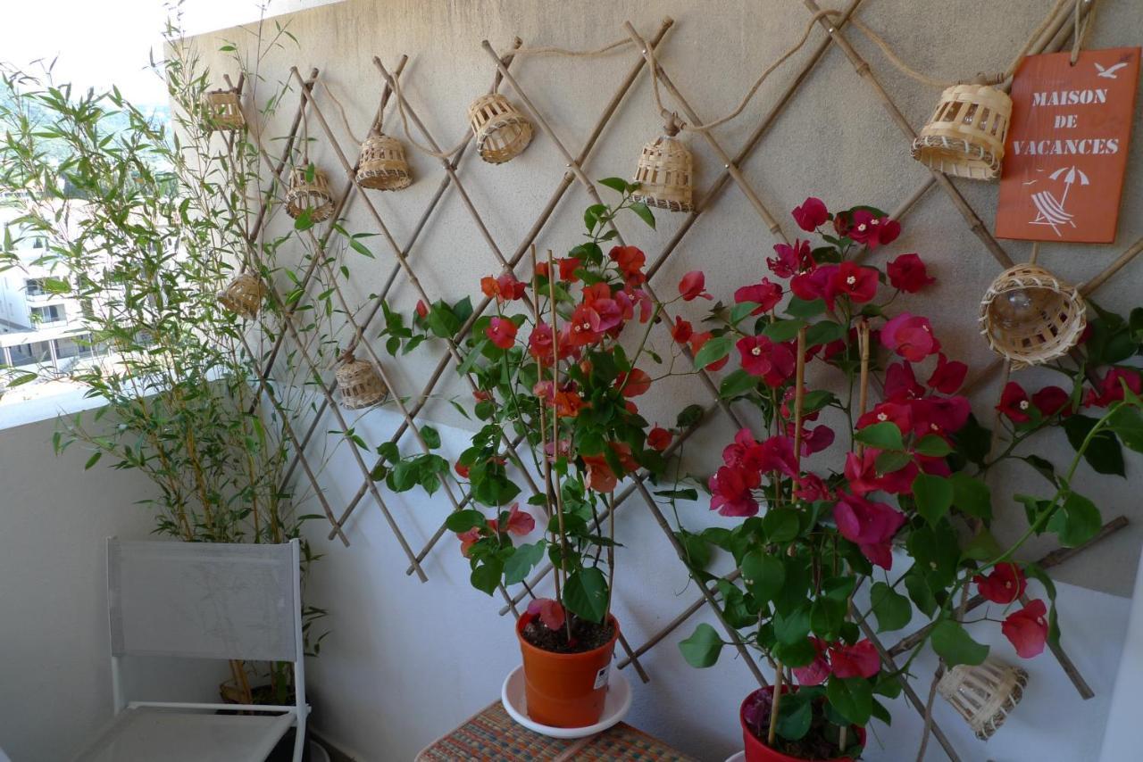 Nidu Accogliente In Balagna Apartment LʼÎle-Rousse Екстериор снимка