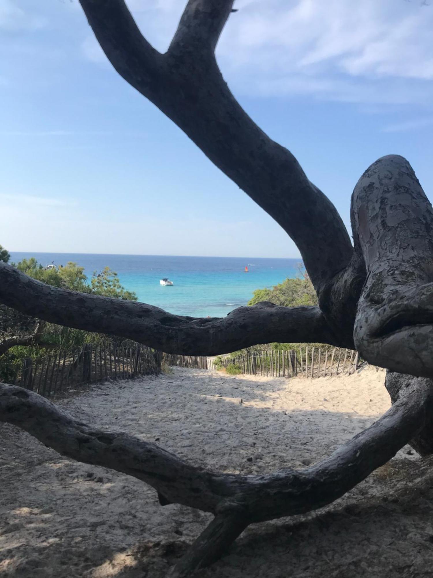 Nidu Accogliente In Balagna Apartment LʼÎle-Rousse Екстериор снимка
